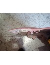 Recambio de paragolpes delantero para citroën c2 vtr referencia OEM IAM  TIENE ROCE PINTURA MAL ROJO