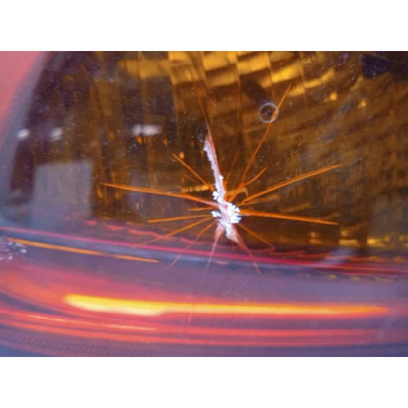 Recambio de piloto trasero izquierdo para bmw serie 3 berlina (e90) 318d referencia OEM IAM 6937457  TOCADO