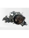 Recambio de caja cambios para hyundai i30cw 1.6 crdi cat referencia OEM IAM S81767 5V 