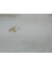 Recambio de deposito limpia para ford mustang gt referencia OEM IAM JR3B17B613A3  