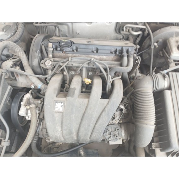 peugeot 406 (8b) del año 1999