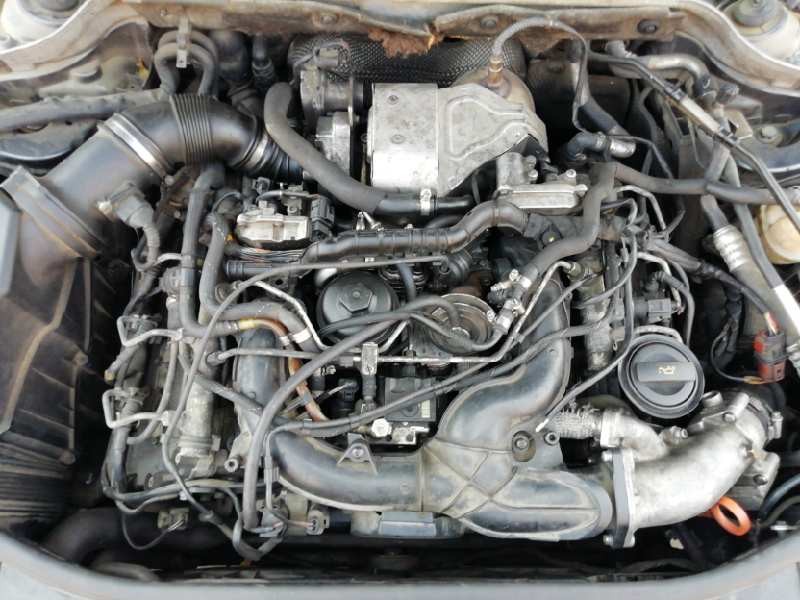 Recambio de despiece motor para audi a8 (4e2) 3.0 tdi quattro referencia OEM IAM ASB M 