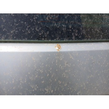 Recambio de porton trasero para chrysler 300c (lx, le) 3.0 crd referencia OEM IAM 5135234AB  