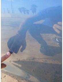 Recambio de puerta delantera derecha para mercedes-benz clase e descapotable (a207) e 250 cdi / bluetec / d (207.403, 207.404) r 2