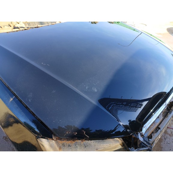 Recambio de capot para audi a5 (8t3) 2.7 tdi referencia OEM IAM   