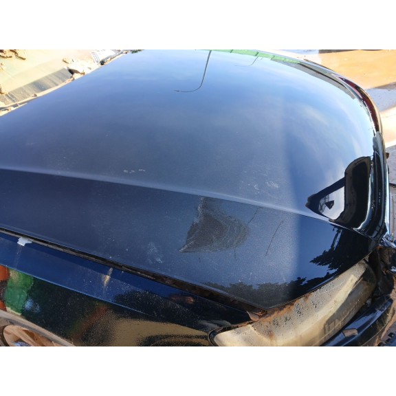 Recambio de capot para audi a5 (8t3) 2.7 tdi referencia OEM IAM   