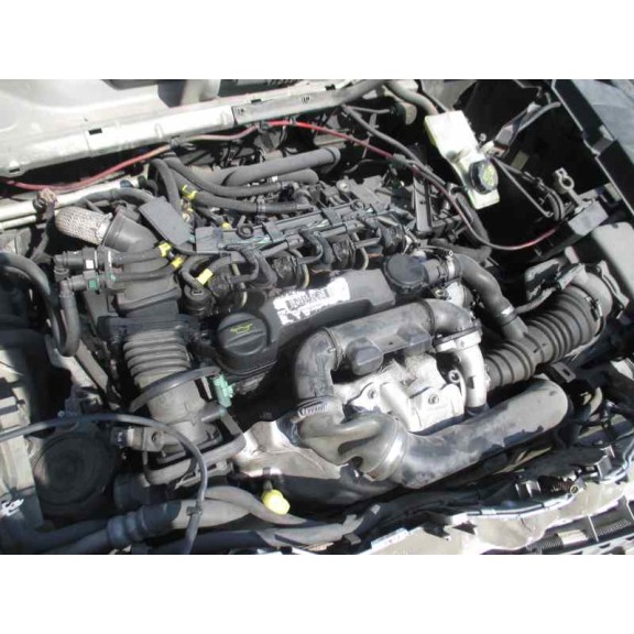 ford focus berlina (cap) del año 2005