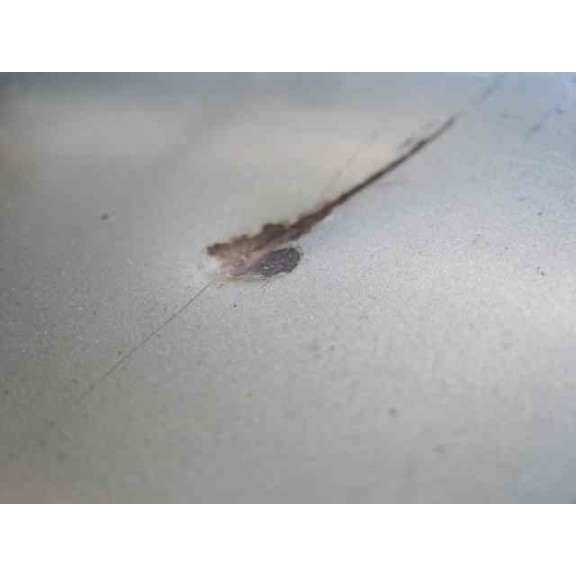 kia carnival ii del año 2002