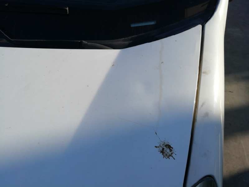 Recambio de capot para fiat fiorino básico referencia OEM IAM 51789394 BLANCO 