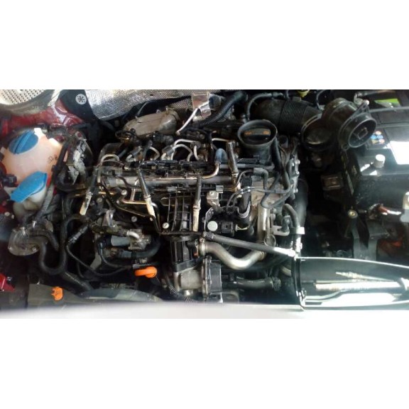 volkswagen beetle del año 2013