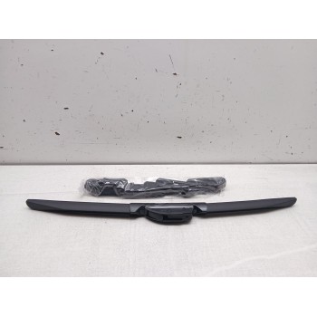 ESCOBILLA LIMPIA cgaf1743 43 cm 17'' flexible