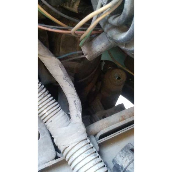 renault clio ii fase i (b/cbo) del año 1999