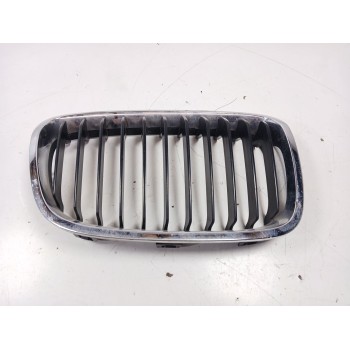 REJILLA DELANTERA 7239022 