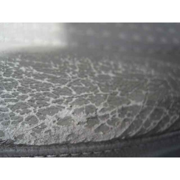 renault grand scenic del año 2004