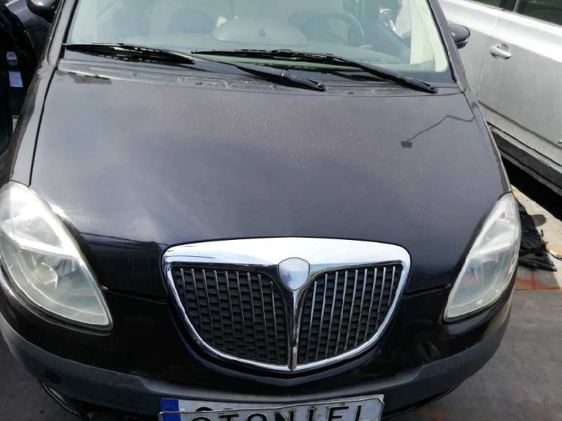 Recambio de capot para lancia musa (184) 1.9 jtd cat referencia OEM IAM   