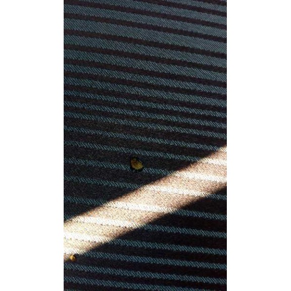 ford fusion (cbk) del año 2008