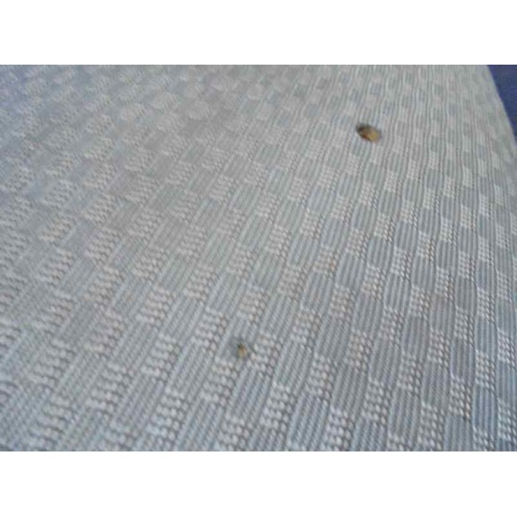 ford focus sportbreak (cap) del año 2007