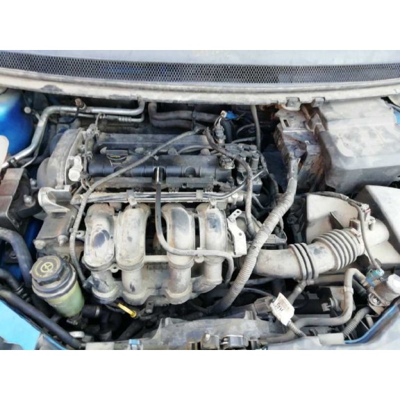 ford focus berlina (cap) del año 2005