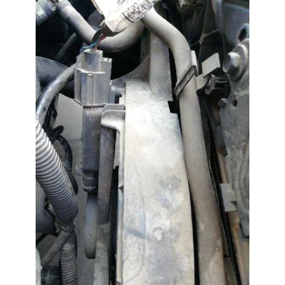 ford focus berlina (cap) del año 2005