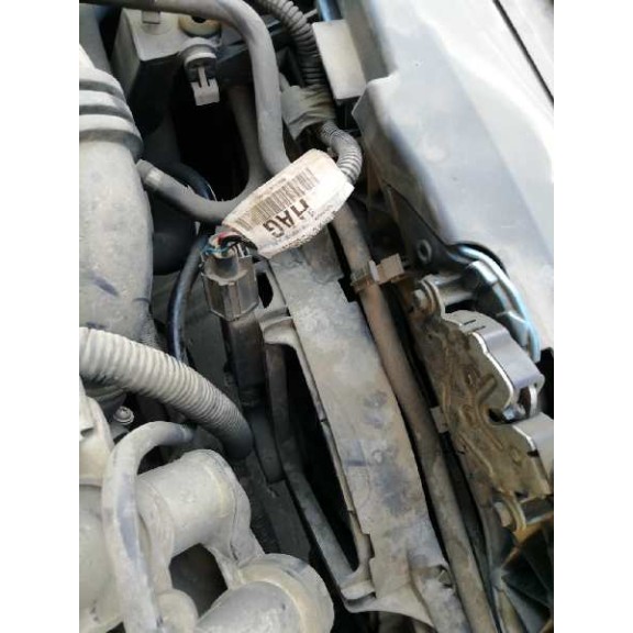 ford focus berlina (cap) del año 2005