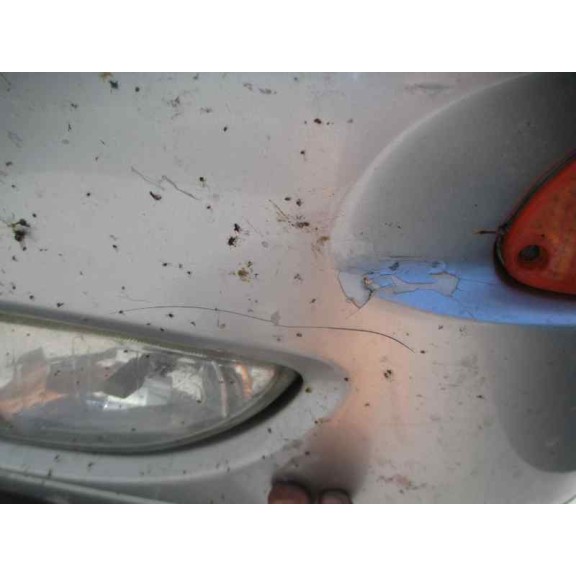 ford focus turnier (cak) del año 1999