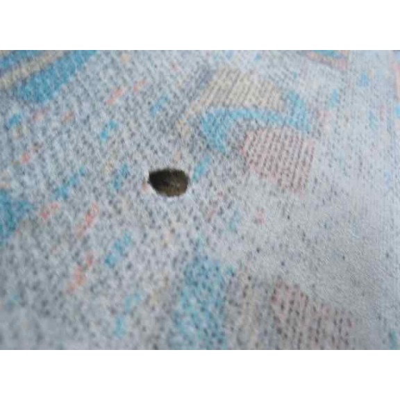 daewoo lanos del año 1999