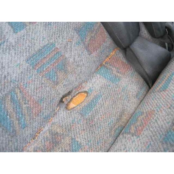 daewoo lanos del año 1999