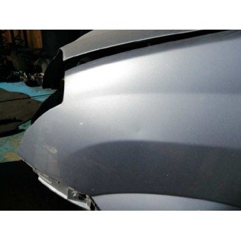 ALETA DELANTERA IZQUIERDA PLATA ROZADA