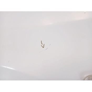 Recambio de aleta delantera izquierda para nissan qashqai i (j10, nj10) 2.0 dci referencia OEM IAM F3101JD0M0  