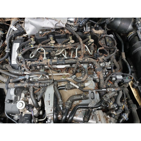 volkswagen golf vii (5g1, bq1, be1, be2) del año 2016