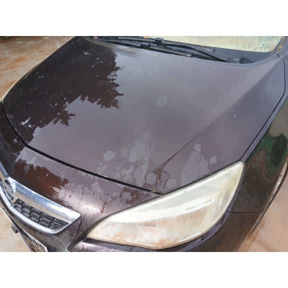 Recambio de capot para opel astra j (p10) 1.7 cdti (68) referencia OEM IAM   