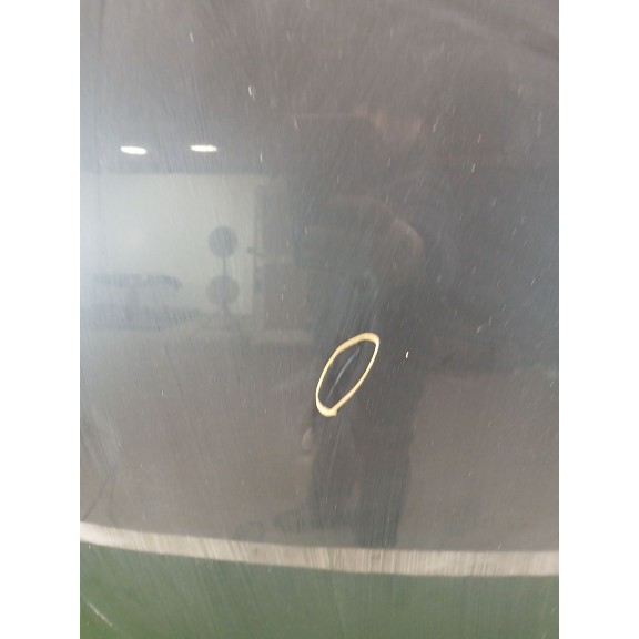 Recambio de capot para audi a5 (8t3) 2.7 tdi referencia OEM IAM 8T0823029D  