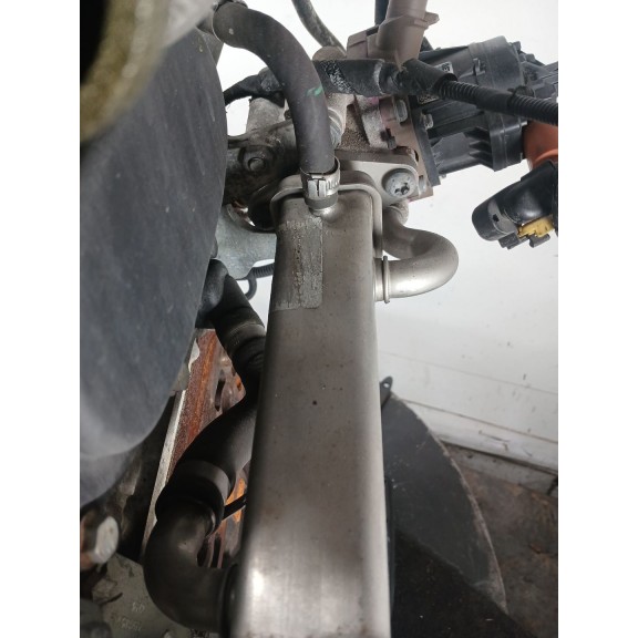 Recambio de enfriador egr para fiat ducato caja/chasis (250_) 130 multijet 2,3 d referencia OEM IAM   