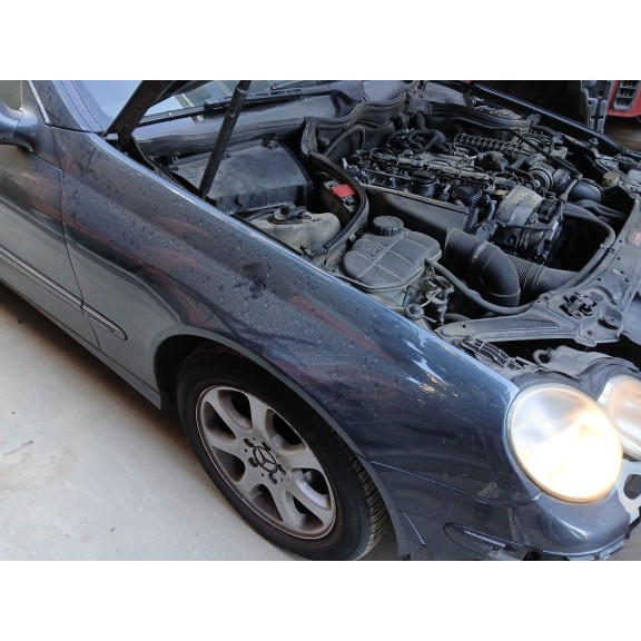 Recambio de aleta delantera derecha para mercedes-benz clk (c209) clk 270 cdi (209.316) referencia OEM IAM   