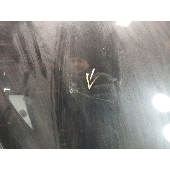 Recambio de capot para bmw x1 (e84) sdrive 18 d referencia OEM IAM   