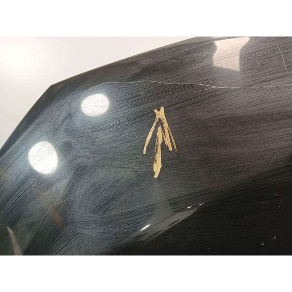 Recambio de capot para bmw x1 (e84) sdrive 18 d referencia OEM IAM   