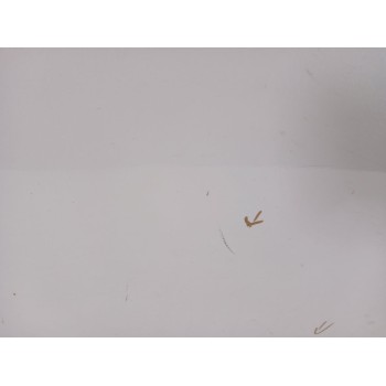 Recambio de puerta trasera derecha para infiniti qx70 3.7 awd referencia OEM IAM H210M1CAMA  