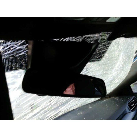 ford focus del año 2019