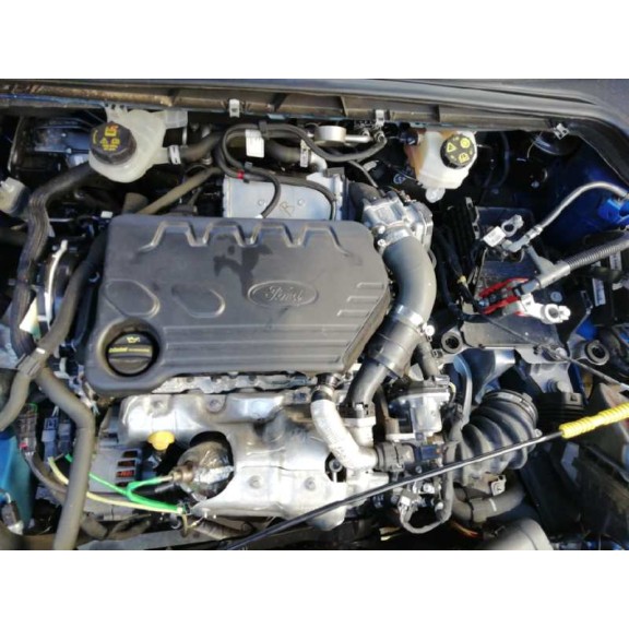 ford focus del año 2019