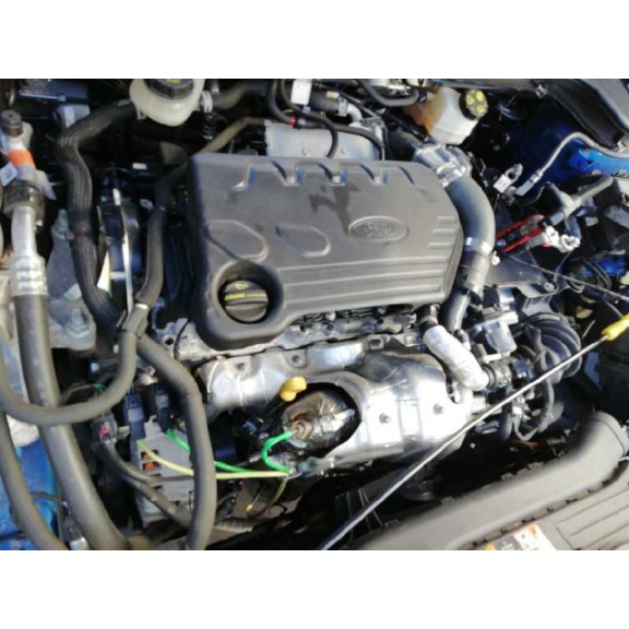 ford focus del año 2019