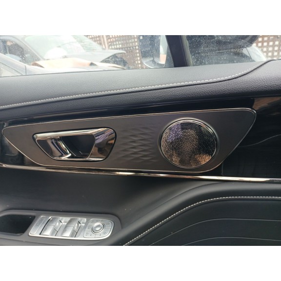 Recambio de guarnecido puerta delantera izquierda para omoda 5 referencia OEM IAM   