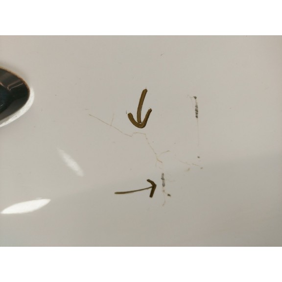 Recambio de aleta delantera derecha para ford kuga ii (dm2) 1.5 ecoboost referencia OEM IAM 2344151  