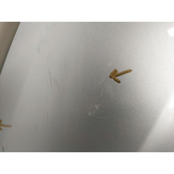 Recambio de paragolpes delantero para ford mondeo v hatchback (ce) 1.6 tdci referencia OEM IAM ds7v17d957a  