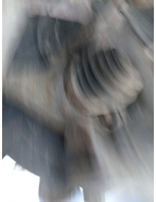 Recambio de mangueta delantera derecha para subaru tribeca (b9) 3.0 (wxe) referencia OEM IAM   