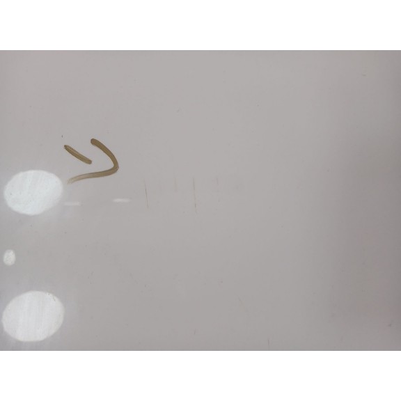 Recambio de capot para volkswagen t-roc (a11, d11) 2.0 tdi scr referencia OEM IAM 2GA823031A  