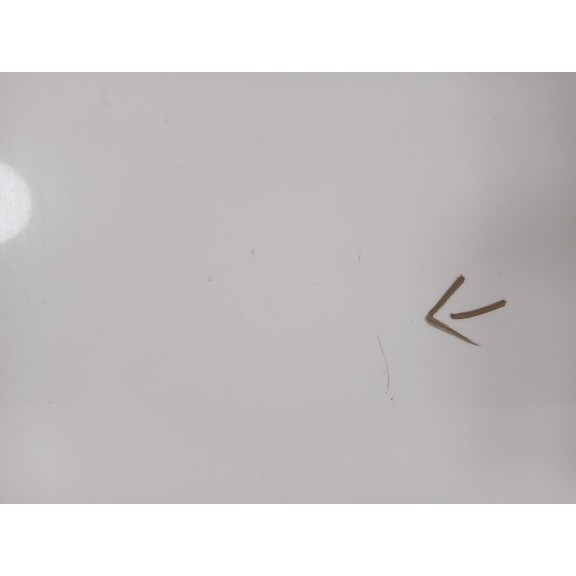 Recambio de capot para volkswagen t-roc (a11, d11) 2.0 tdi scr referencia OEM IAM 2GA823031A  