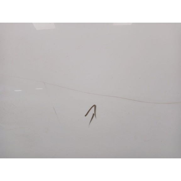 Recambio de capot para volkswagen t-roc (a11, d11) 2.0 tdi scr referencia OEM IAM 2GA823031A  