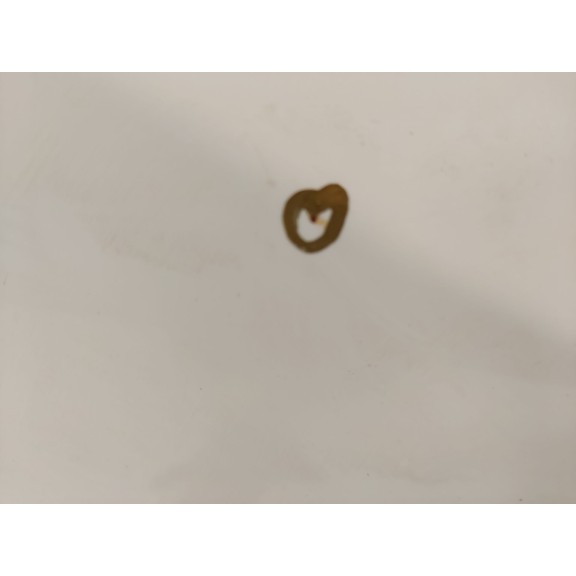 Recambio de puerta delantera izquierda para fiat talento furgoneta (296_) 2.0 ecojet referencia OEM IAM 0006000620487  