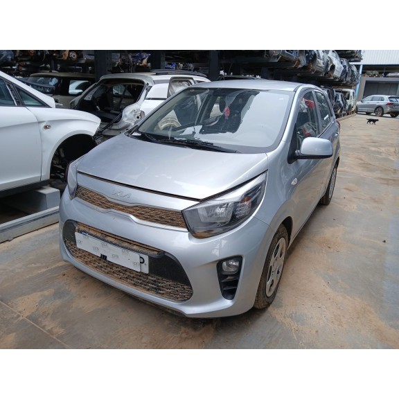 kia picanto iii (ja) del año 2023