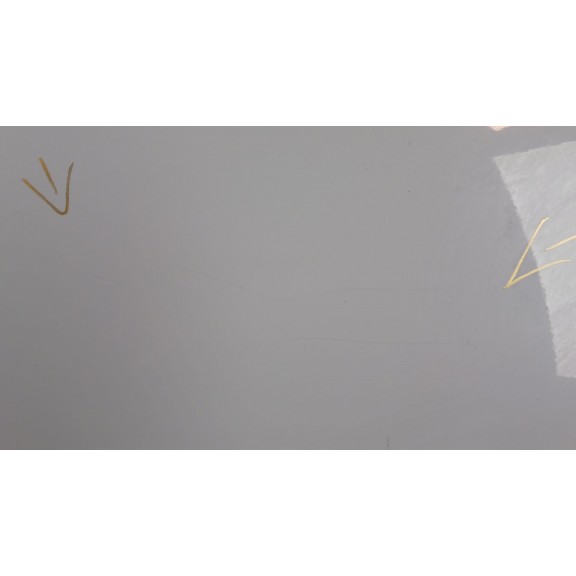 Recambio de puerta trasera izquierda para mini mini countryman (r60) cooper d referencia OEM IAM 41009805929  